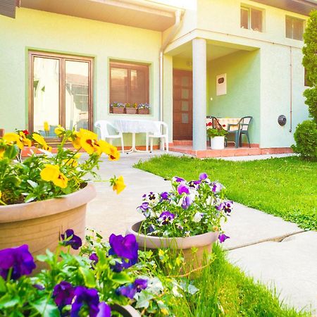 Apartmani Slavica Ягодина Экстерьер фото